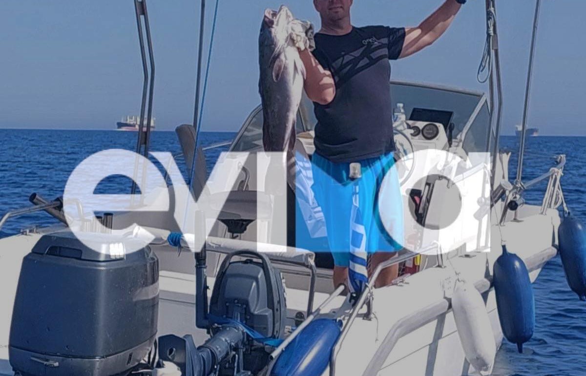 Εύβοια: Πάνε και έρχονται οι σφυρίδες στο Αιγαίο – Νέα μεγάλη ψαριά στην Κάρυστο