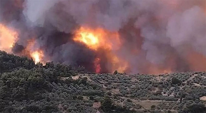 Βόρεια Εύβοια: Σε απόγνωση οι ανασφάλιστοι πυρόπληκτοι αγρότες – Δεν υπάρχει καμία πρόβλεψη για αποζημίωση