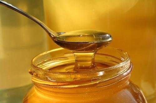 Εύβοια: Έρχεται σημαντική διάκριση για το μέλι Καρύστου – Τρίτο στις προτιμήσεις των Ευρωπαίων