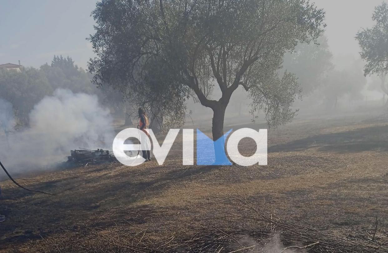 Εύβοια: Αυτός έβαλε την μεγάλη φωτιά στην Ερέτρια – Οδηγήθηκε στο αυτόφωρο