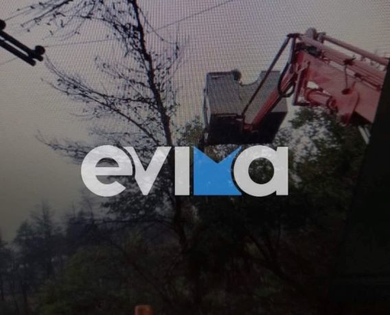 Ξεκίνησε η κακοκαιρία στην Εύβοια: Πτώση δέντρου άφησε χωρίς ρεύμα χωριά του Νομού