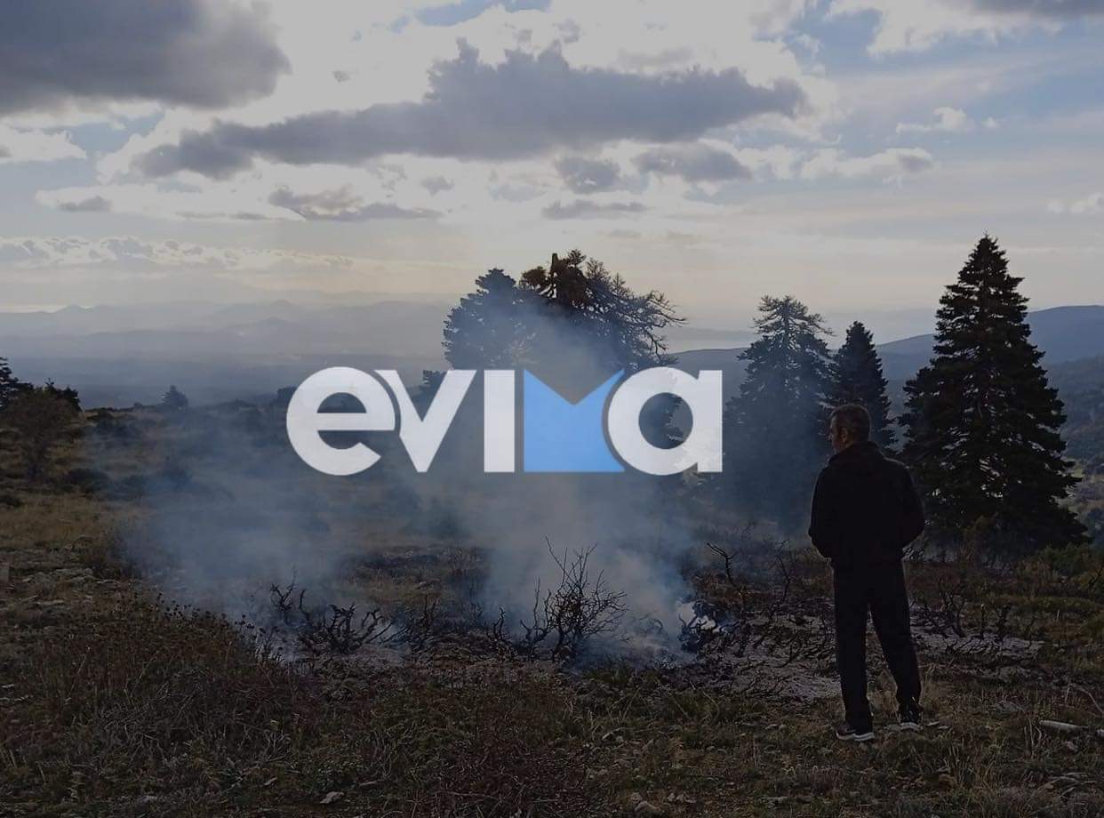 Εύβοια: Φωτιά στη Σέττα – Συναγερμός σε πυροσβεστικη και εθελοντές