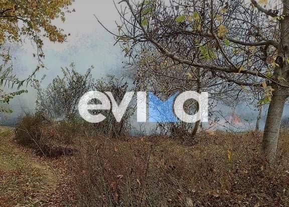 Εύβοια: Αυτός έβαλε τη φωτιά στο Αυλωνάρι