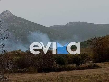 Φωτιά στην Εύβοια κοντά στο Αυλωνάρι