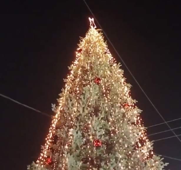 Άρωμα Χριστουγέννων: Το 1ο χριστουγεννιάτικο δέντρο στην Ελλάδα «άναψε» (εικόνα)