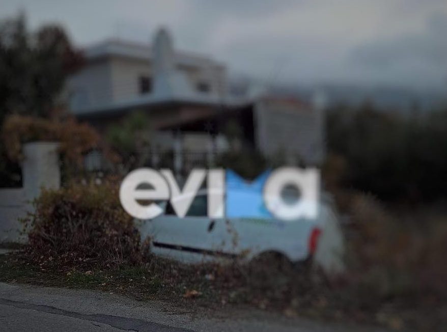 Τροχαίο στην Εύβοια: Φορτηγάκι έπεσε σε χαντάκι – Πετάχτηκαν από τα σπίτια τους οι κάτοικοι