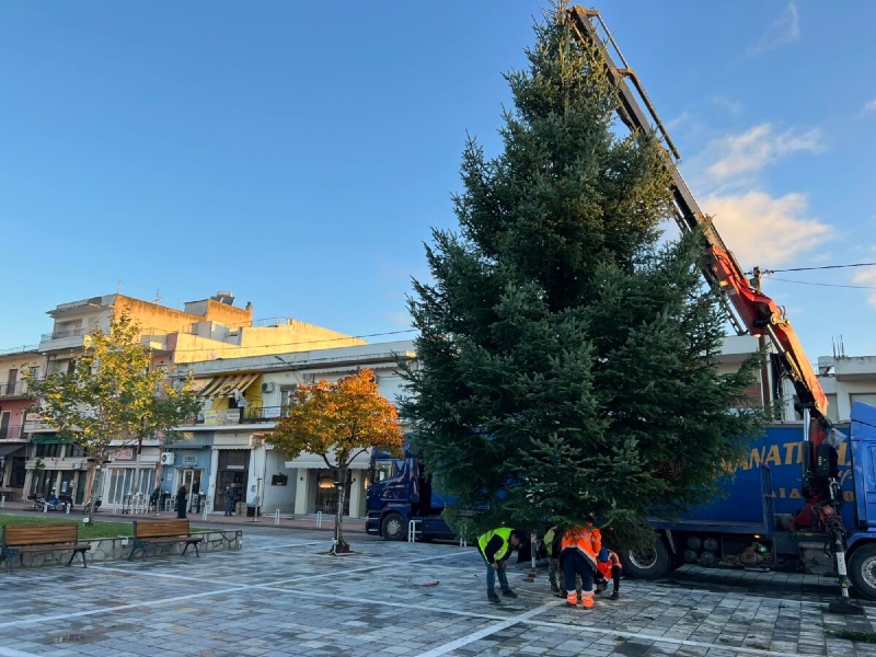 Εύβοια: Σήμερα θα «λάμψει» το Χριστουγεννιάτικο δέντρο στην πλατεία της Ιστιαίας