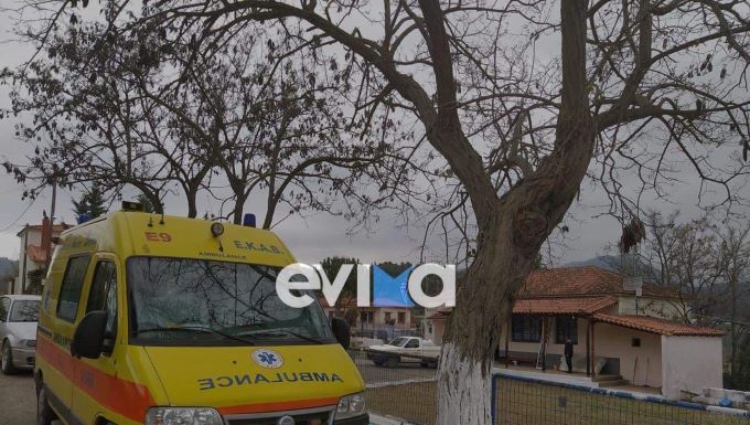Πλεύρης στο evima.gr: Είμαστε σε συνεννόηση με το ΕΚΑΒ για τη Δάφνη – Έρχονται ανακοινώσεις