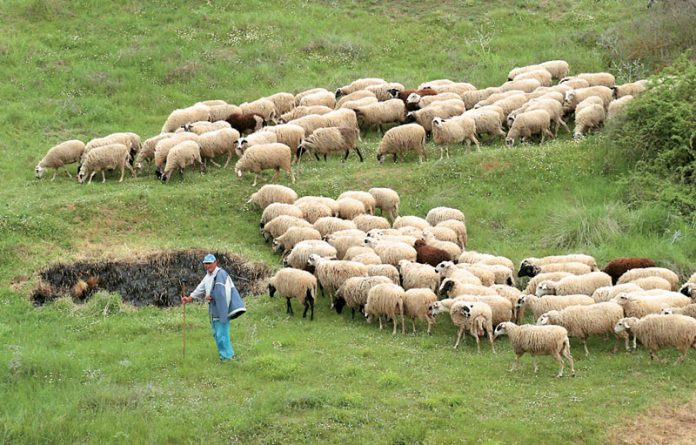 Εύβοια: Άνοιξε η πλατφόρμα για αιτήσεις για την έκτακτη ενίσχυση 89 εκατ ευρώ σε κτηνοτρόφους