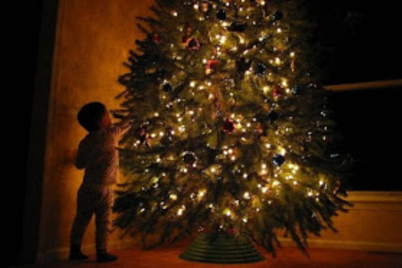 Η ιστορία του χριστουγεννιάτικου δέντρου – Ποιος στόλισε το πρώτο στην Ελλάδα