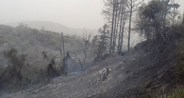 Εύβοια: 13,4 εκατ. ευρώ για πυρόπληκτες καλλιέργειες- Και μη κατά κύριο επάγγελμα αγρότες στο μέτρο