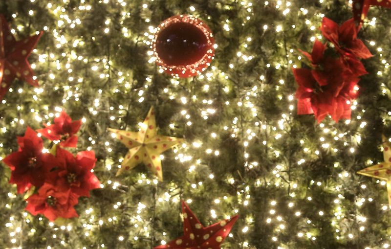 Χριστούγεννα στην Εύβοια: Πότε θα φωταγωγηθεί το δέντρο του Αλιβερίου