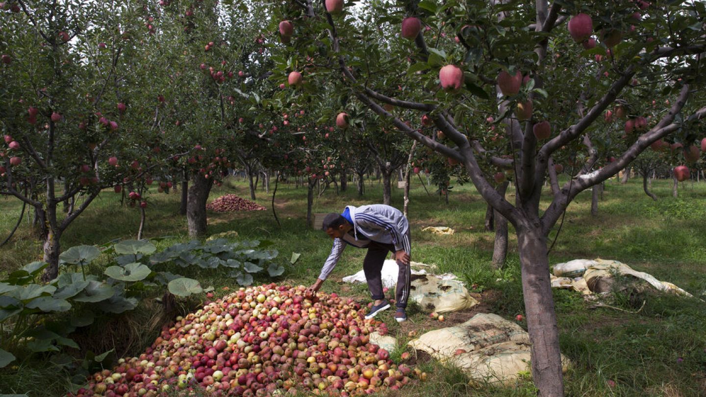 Εύβοια: Έρχεται νέο επίδομα για τους αγρότες – Ποιοι θα λάβουν 300 ευρώ