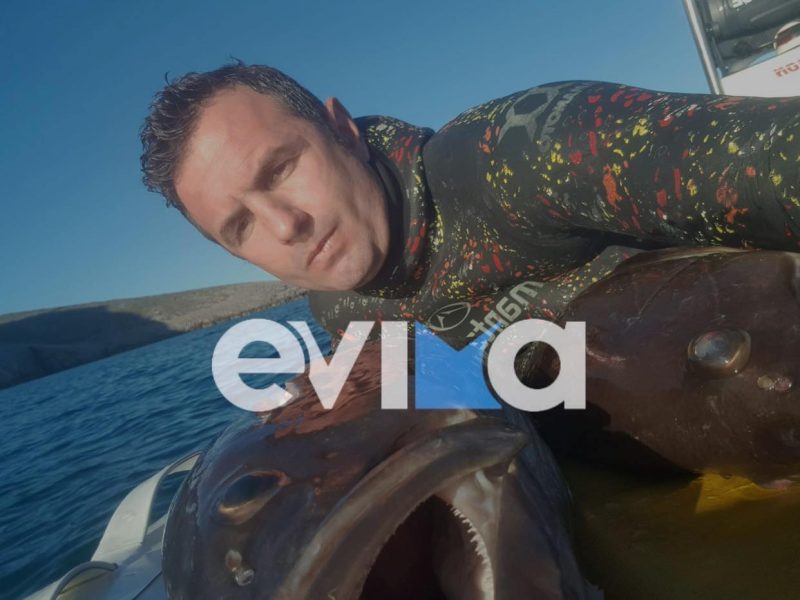Εύβοια: Νέα απίστευτη ψαριά από τον Στέλιο Ρέτσα – Δείτε πόσες σφυρίδες έπιασε