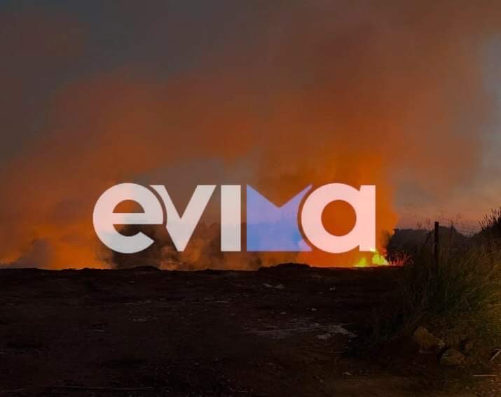Εύβοια: Φωτιά κοντά σε κτίρια – Συναγερμός στην Πυροσβεστική