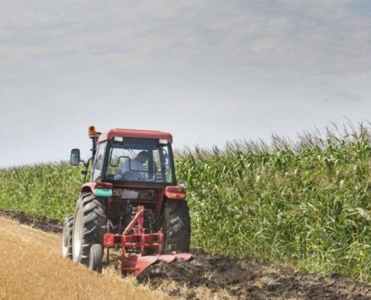 Νέοι αγρότες και ενίσχυση έως 42.500 ευρώ: Τι πρέπει να ξέρουν οι ενδιαφερόμενοι