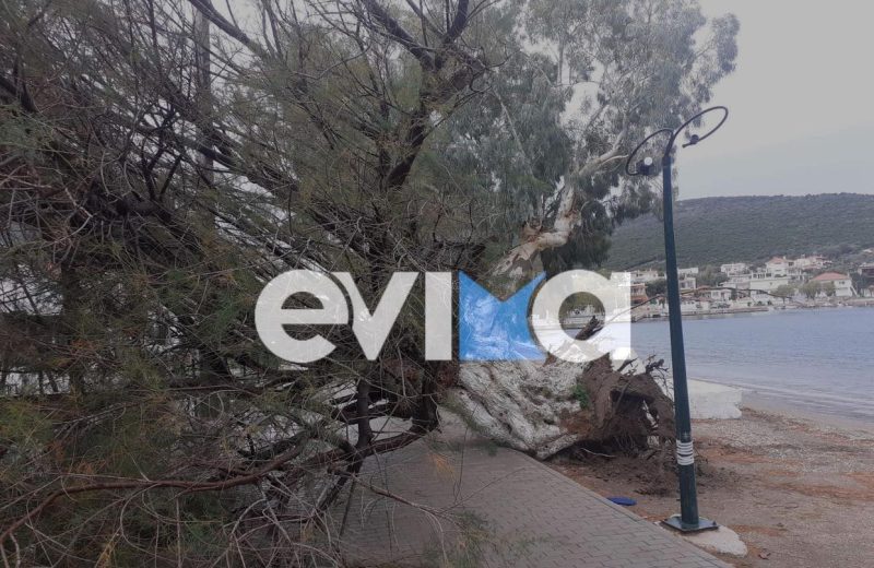 Μαρουσάκης στο evima.gr: Νέα κακοκαιρία «χτυπά» την Εύβοια με βροχές και καταιγίδες