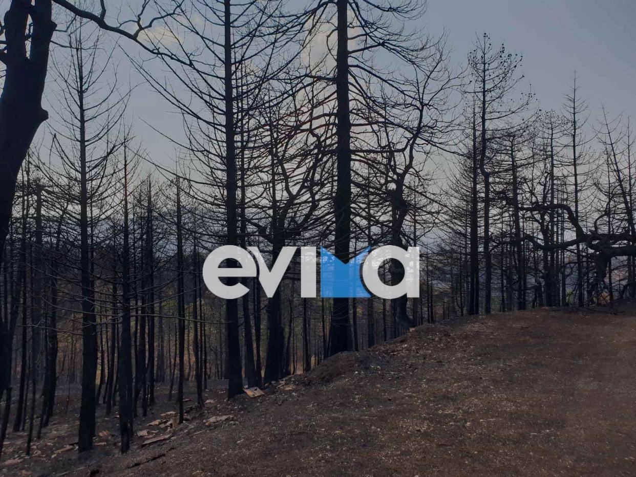Εύβοια: Οι «Megafires» αφάνισαν το μισό νησί – Στάχτη χιλιάδες στρέμματα κάθε χρόνο