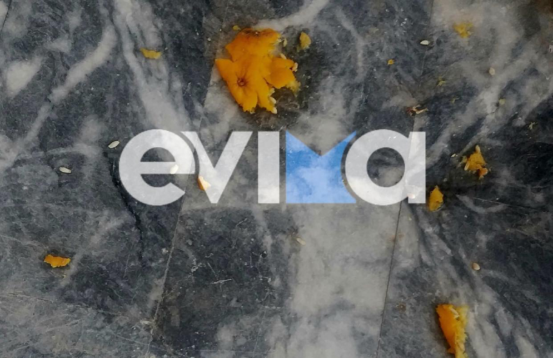 Εύβοια: Αθλιότητες από νεολαίους – Πετούν πέτρες με νεράτζια σε σπίτια ηλικιωμένων