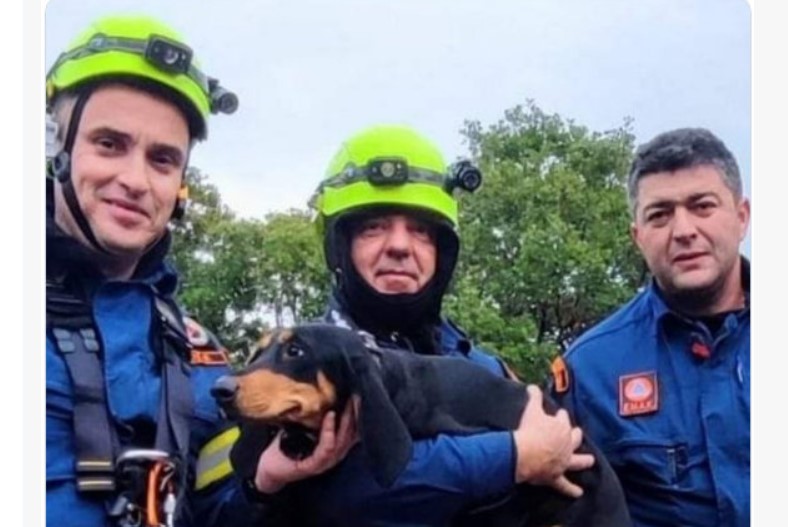 Εύβοια: Σκυλί έπεσε σε χαράδρα – Συναγερμός στην 7η ΕΜΑΚ