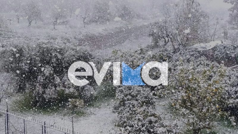 Χιόνια στην Εύβοια: Το… πολικό εξπρές καταφθάνει- Οι προβλέψεις για τον καιρό τις επόμενες μέρες