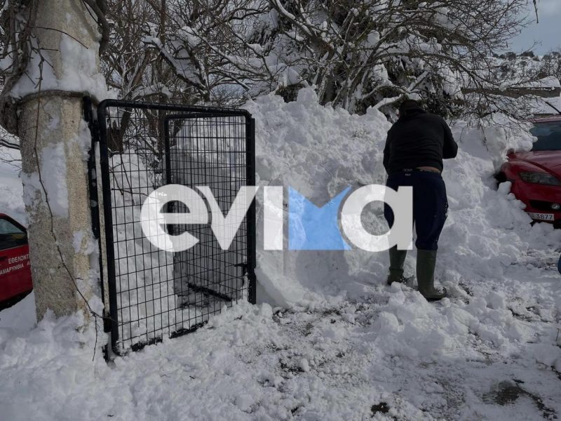 Εύβοια: Μονοπάτι 60 μέτρα κάλυψε η Μπάρμπαρα- Μάχη με το χιόνι δίνουν οι κάτοικοι (vid)