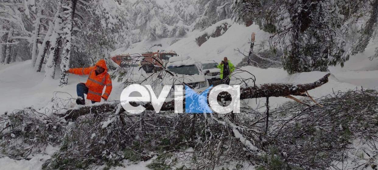 Κακοκαιρία Μπάρμπαρα: Πνίγεται στο χιόνι η Β. Εύβοια – Συνδρομή ελικοπτέρου ζητά ο Τσαπουρνιώτης