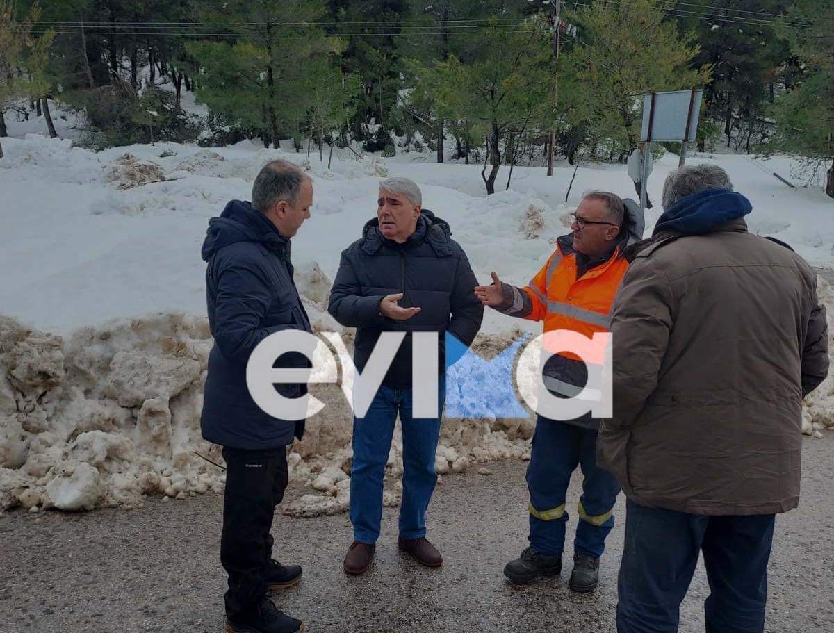 Κεδίκογλου από τα χιονισμένα χωριά της Εύβοιας: Να δοθούν άμεσα οι επιδοτήσεις για τον καθαρισμό των δέντρων