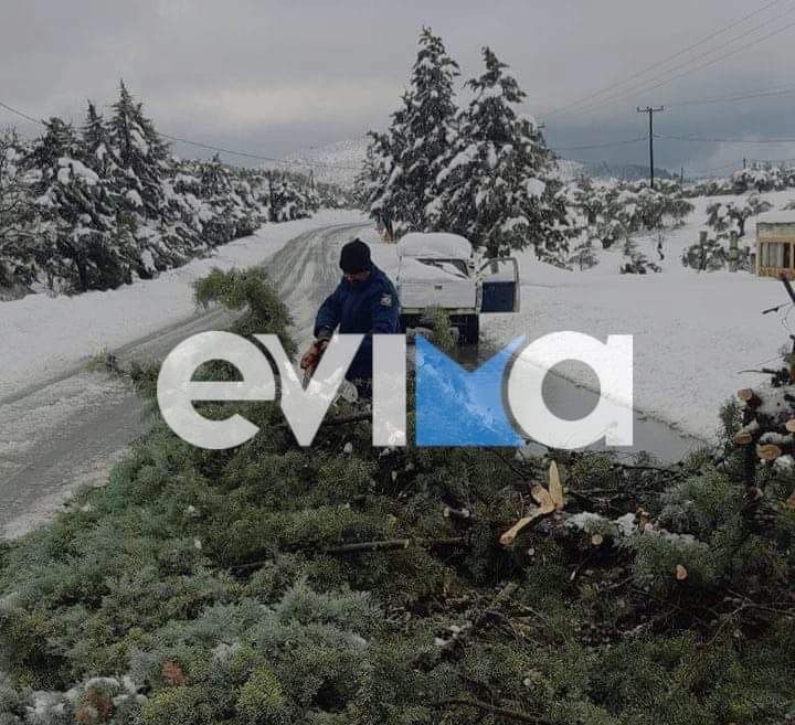 Κακοκαιρία: «Γονάτισε» την Εύβοια η Μπάρμπαρα – Δέντρα έπεσαν και αυτοκίνητα κόλλησαν στους δρόμους