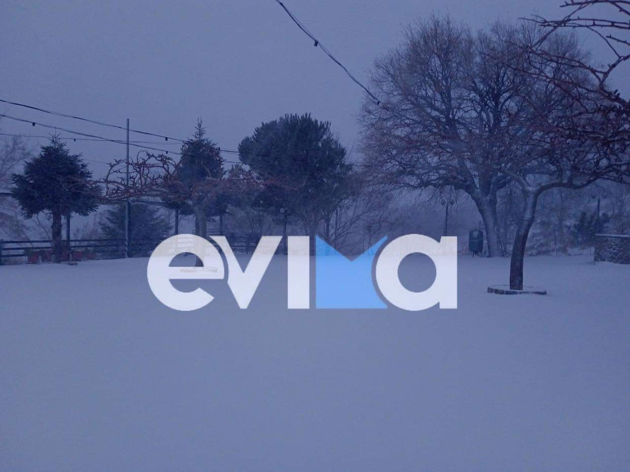 Κακοκαιρία «Μπάρμπαρα»: Ήρθε με χιόνια και τσουχτερό κρύο στην Εύβοια –  Που χιονίζει (pics)