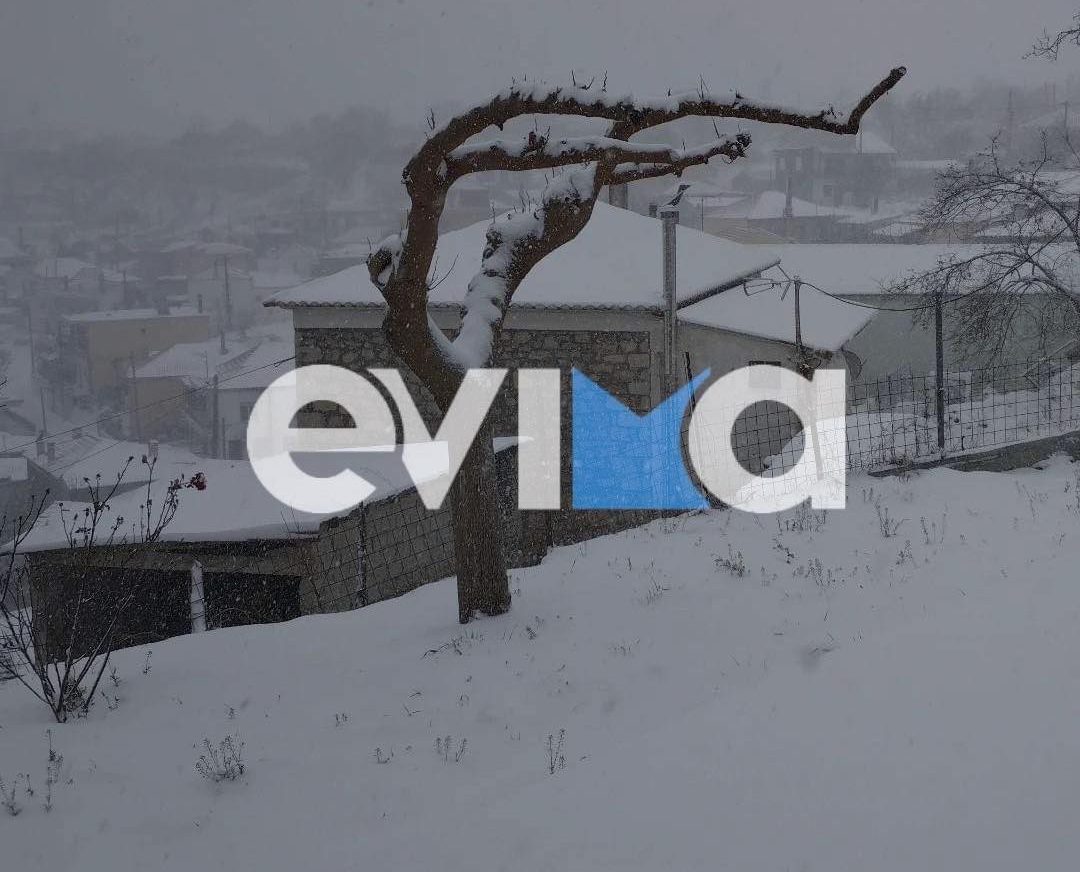 Ισχυρή προειδοποίηση Μαρουσάκη: Νέο «κύμα» χιονιά θα σαρώσει την Εύβοια από τα ξημερώματα