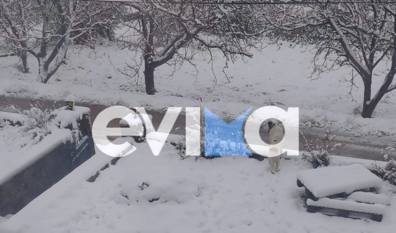 Καιρός: To GFS «μίλησε»… νέα ψυχρή εισβολή φέρνει ξανά χιόνια στην Εύβοια