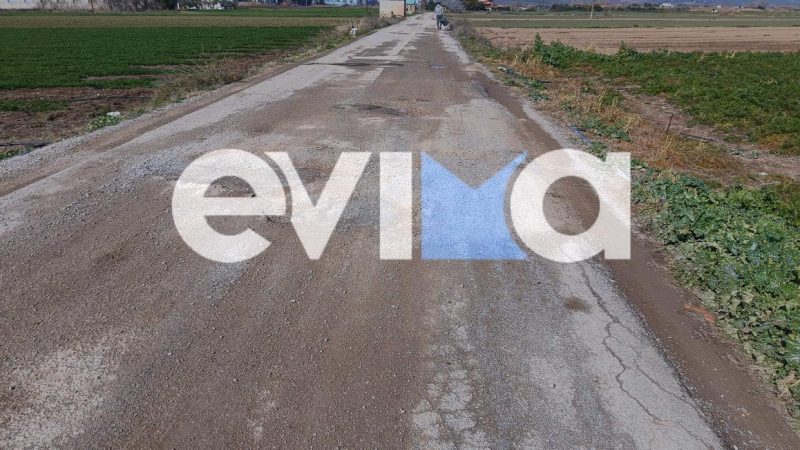 Εύβοια: Αυτός είναι ο πιο επικίνδυνος δρόμος – Βράχια και… αμνοερίφια κατά των οδηγών