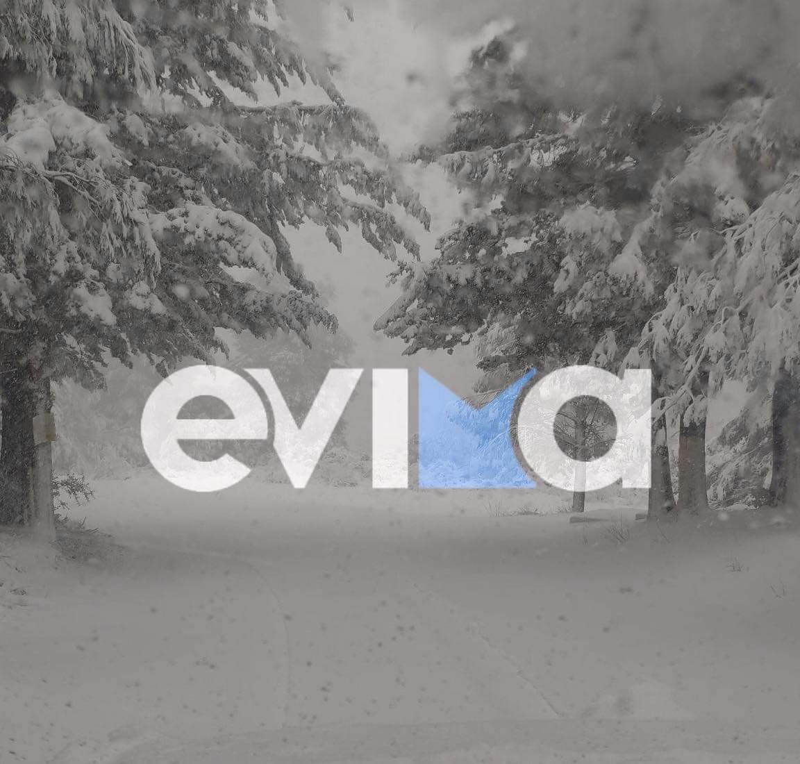 Χιόνια στην Εύβοια: Απελπισμένοι κάτοικοι χωρίς φως και θέρμανση για μια μέρα