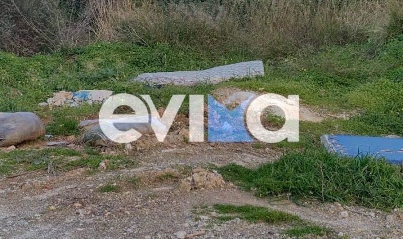 Αυτός ο δήμος της Εύβοιας «βγήκε» πρωταθλητής στα σκουπίδια