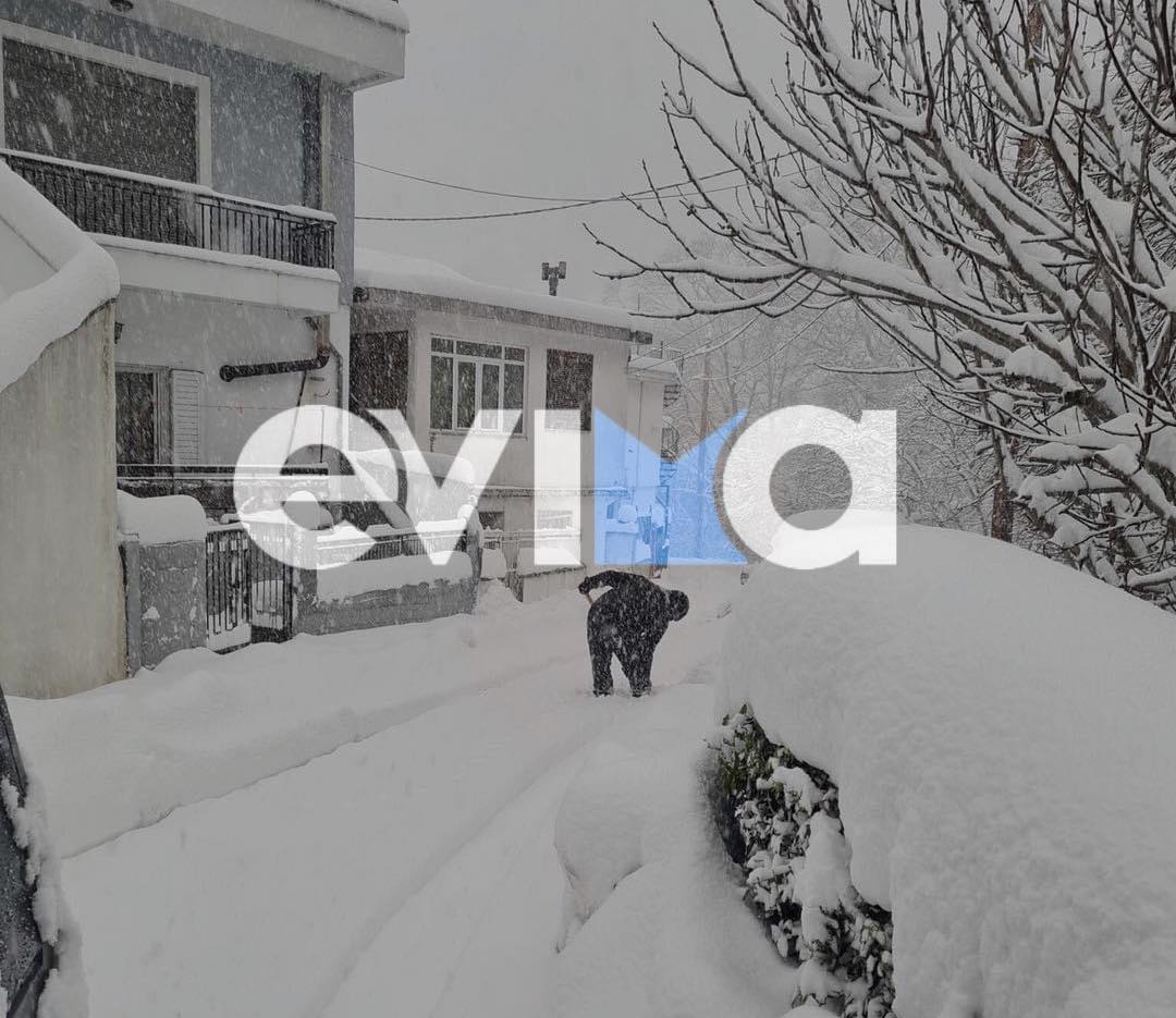 Κακοκαιρία Μπάρμπαρα: Η Στενή «βούλιαξε» στο χιόνι – Δείτε πόσα μέτρα φτάνει (pics)