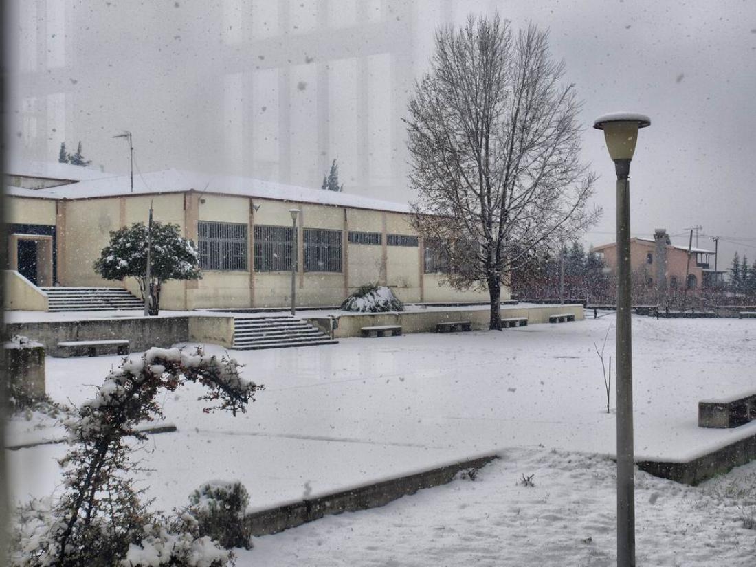 Κακοκαιρία Μπάρμπαρα: Τι θα γίνει με τα σχολεία στην Εύβοια – Ποια θα είναι κλειστά τη Δευτέρα
