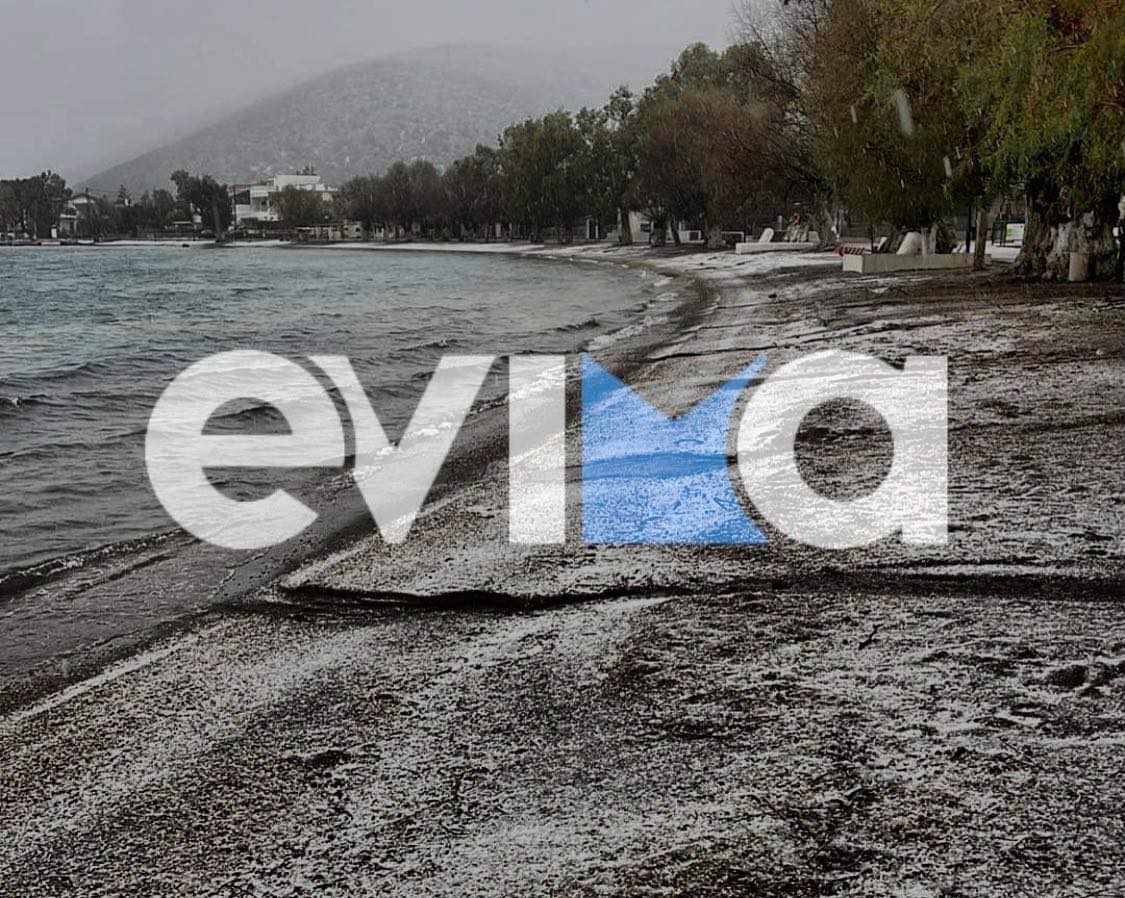Κακοκαιρία Μπάρμπαρα: Τα χιόνια έφτασαν μέχρι τη θάλασσα στην Εύβοια (vid)