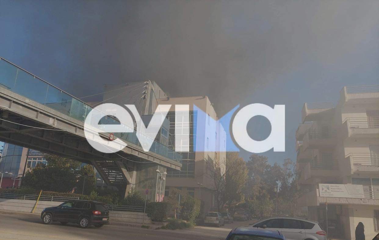 Μεγάλη φωτιά στην Εύβοια κοντά σε σπίτια και στα γραφεία της Περιφερειακής Ενότητας (pics&vid)