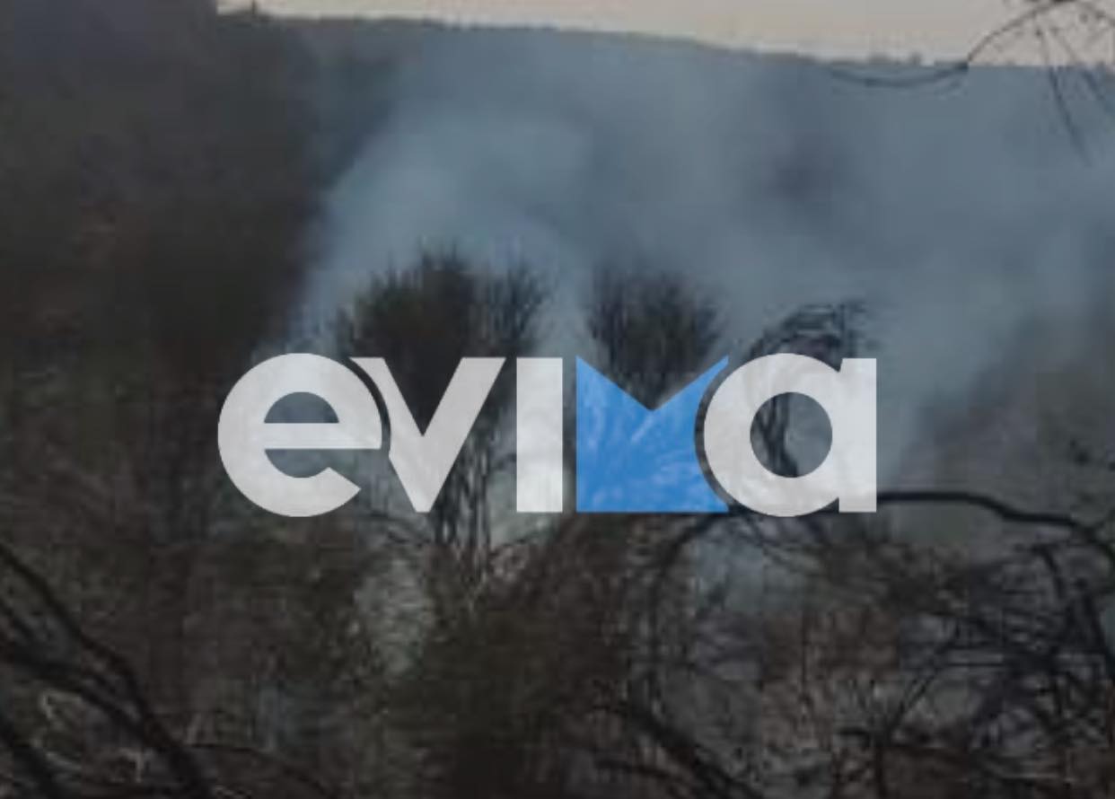 Εύβοια: Από εμπρησμό προκλήθηκε η φωτιά στο Μονόδρι