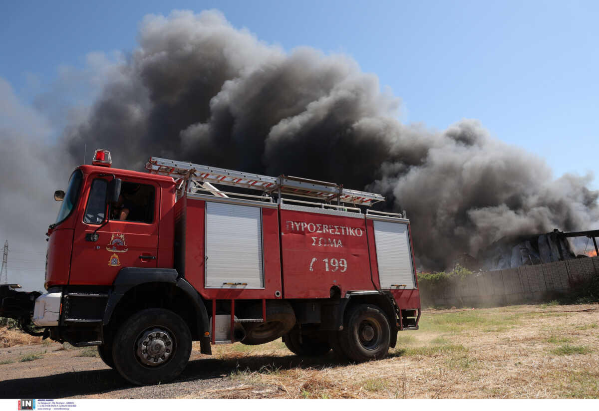 Εύβοια: Φωτιά σε πτηνοτροφική μονάδα