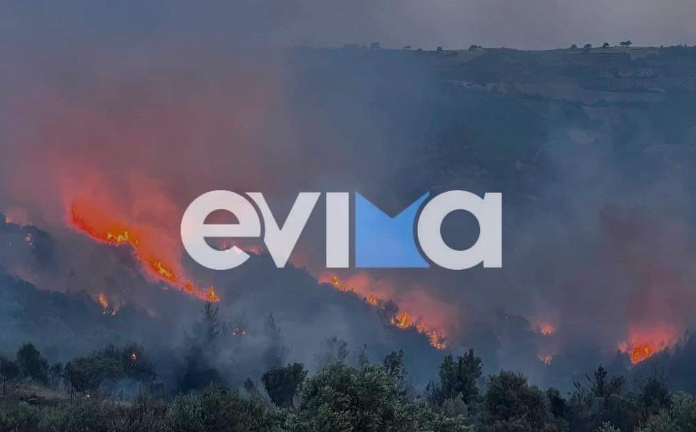 Εύβοια: Συνελήφθη γυναίκα που έβαλε φωτιά στους Στρόπωνες