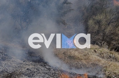 Εύβοια: Δύο φωτιές εκδηλώθηκαν στο Δήμο Ερέτριας την Κυριακή 26/3