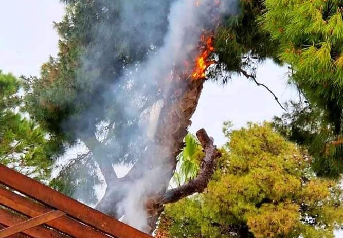 Κεραυνός έπεσε δίπλα σε καφετέρια – Έπιασαν φωτιά τα δέντρα