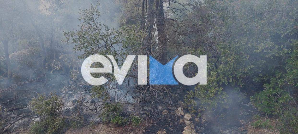 Εύβοια: Φωτιά σε πευκοδάσος στο δήμο Διρφύων Μεσσαπίων