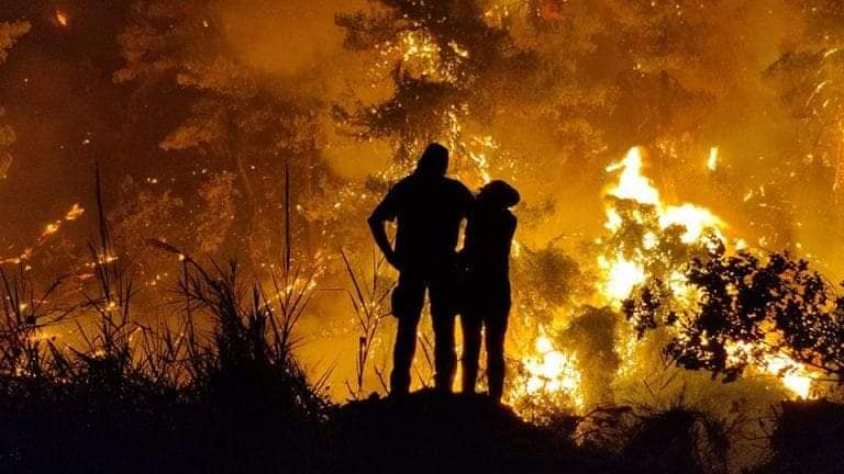 Βάνα Φρυγανιώτη: Φτάνει ο εμπαιγμός των αγροτών στη Βόρεια Εύβοια