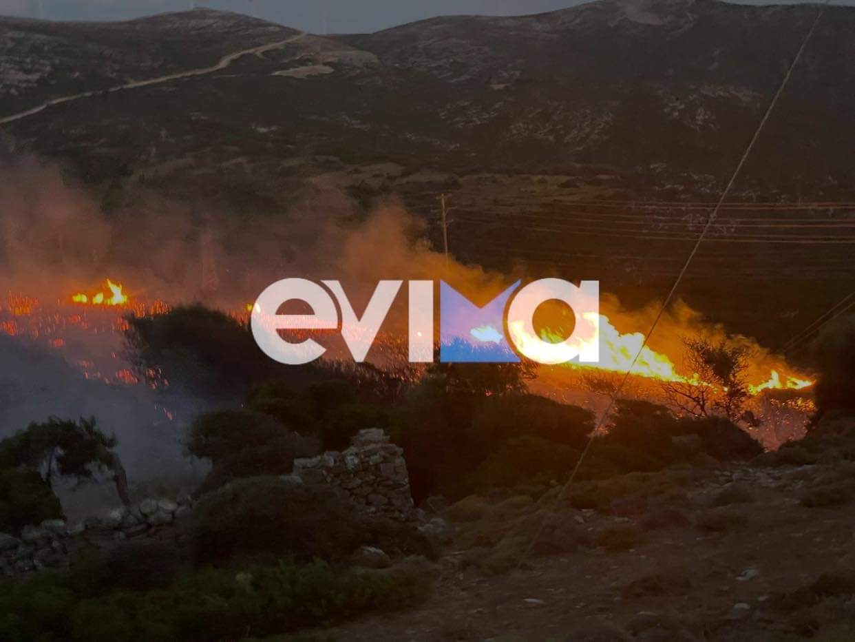 Φωτιές στην Εύβοια: Ξεκινά η αντιπυρική περίοδος – Τι να προσέξετε