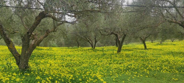 Αγρότης βρέθηκε νεκρός σε χωράφι, εκτελούσε αγροτικές εργασίες