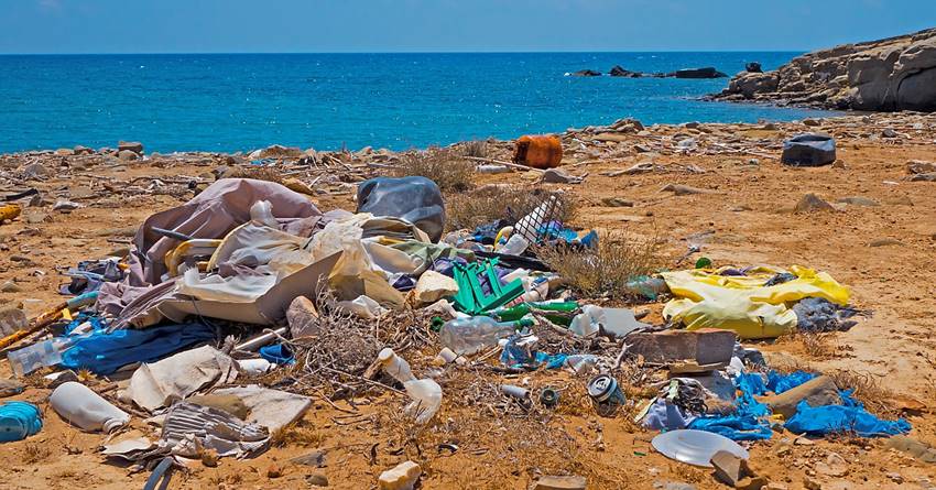 Εύβοια: Τα απίστευτα ευρήματα δυτών που βούτηκαν στην παραλία του Νέου Πύργου
