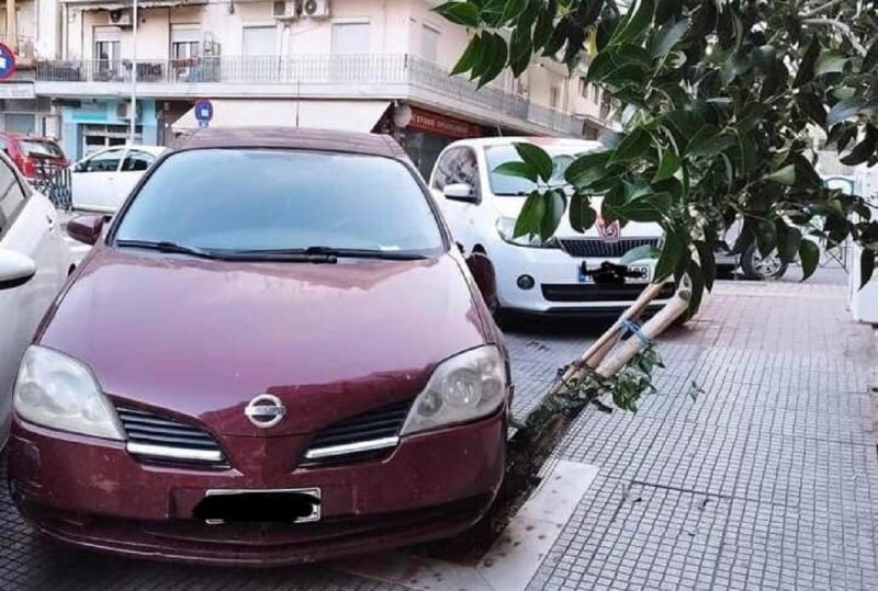 Απίστευτο: Τσάκισε δέντρο παρκάροντας πάνω του- Μήνυση από τον Δήμο